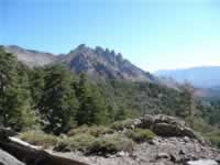 Korsika Bild 103